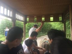 -杭州双溪漂流景区