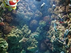 -海合安青岛极地海洋公园