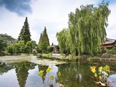 -白马涧龙池景区