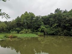 -天目湖御水温泉·度假酒店