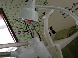 -荟草堂专业痘肌皮肤管理