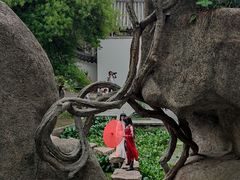 -深圳国际园林花卉博览园