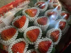 -菜园坝水果市场