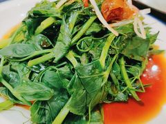 白灼豌豆尖-姑姑宴(富力广场店)