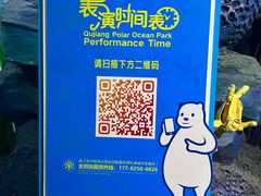 -西安曲江海洋极地公园