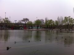 -丰台花园