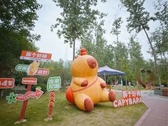 -合肥滨湖国家森林公园