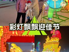 -淄博花灯齐彩城