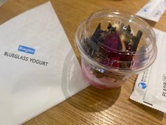 -Blueglass酸奶(财富购物中心店)