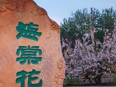 -元大都城垣遗址公园