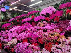 -三旗百汇商品城