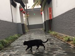 -炑羊香烤全羊(西三旗店)