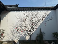 -程十发艺术馆
