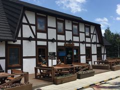 -金山农民画村-枫泾波兰倒置屋