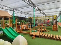 -南宫五洲植物乐园