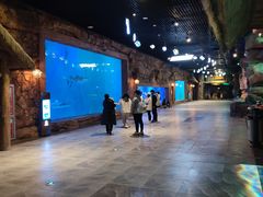 -华夏文旅海洋公园