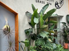 -元气草泰式按摩The Vitality Grass Spa(南海万达店)