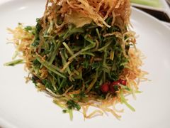 巧拌豆苗-四季民福烤鸭店(王府井灯市口店)