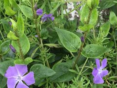 -白塘生态植物园