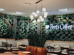 大堂-Peet's Coffee皮爷咖啡(德基店)