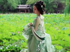 -莲湖公园