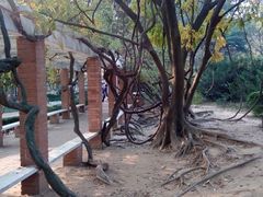 android_upload_pic-八大关景区