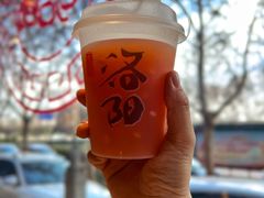 米酒山楂涝-老雒阳面馆·水席(定鼎门店)