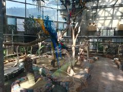 -大连森林动物园