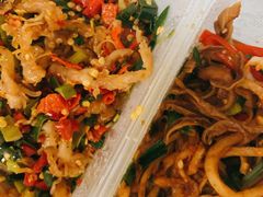 鸭掌筋-壹盏灯(惠农店)