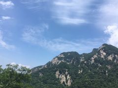 -王顺山国家森林公园