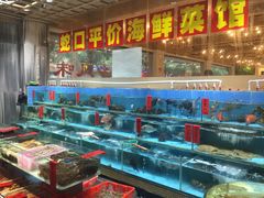 水产区-强记海鲜·大排档(蛇口新街店)