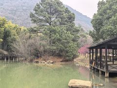 -宝岩生态观光园