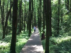 -同里国家湿地公园