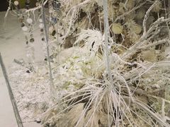 -静之湖湖畔餐厅