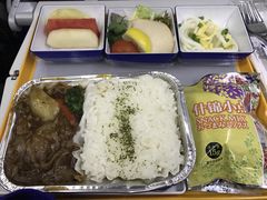 -全日本空输株式会社(上海办事处)