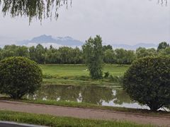 -洨河生态公园