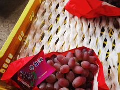 -马陆小张葡萄园农家乐