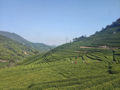 -午潮山国家森林公园