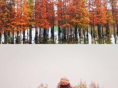 -白鹭湾湿地公园