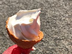 -豆政(金閣寺境内売店)