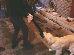 -百好乐宠物友好餐厅(朝外大街店)