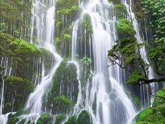 -青城山