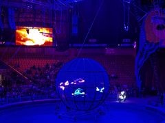 -俄罗斯国家大马戏团