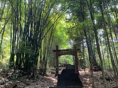 -凤栖山