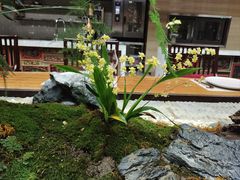 -南堂馆·新川菜(天府三街店)