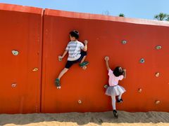 -春花秋色城市公园