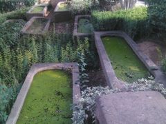 android_upload_pic-中国唐苑