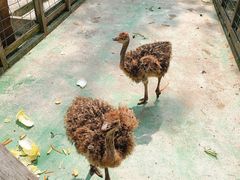 -前小桔亲子创意农场·草莓采摘·露营烧烤