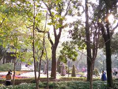 -汇龙潭