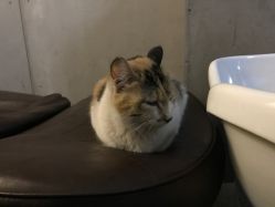 -ZAGA形象设计